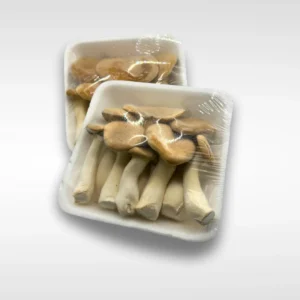 Funji Cogumelo eryngui 17,00 BdJ